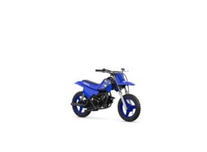 2026 PW50